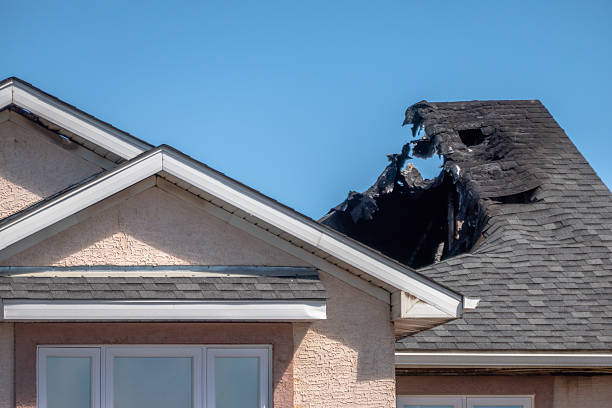 Licensed Odor Removal service in Dayton, MN - Fire Damage Laser Cleaning